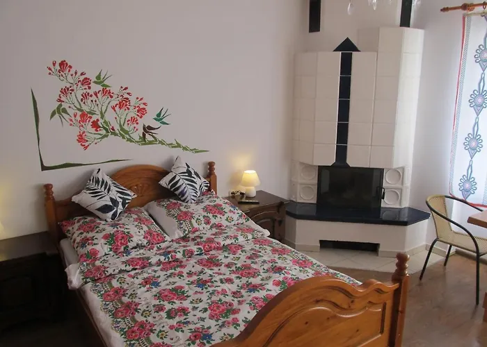 Czarna Owca Guest house *