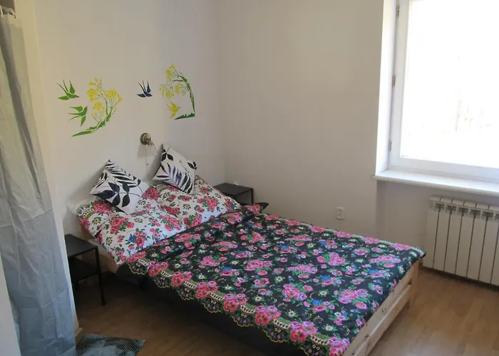 Guest house Czarna Owca *