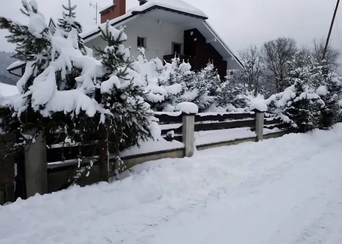 Guest house Czarna Owca