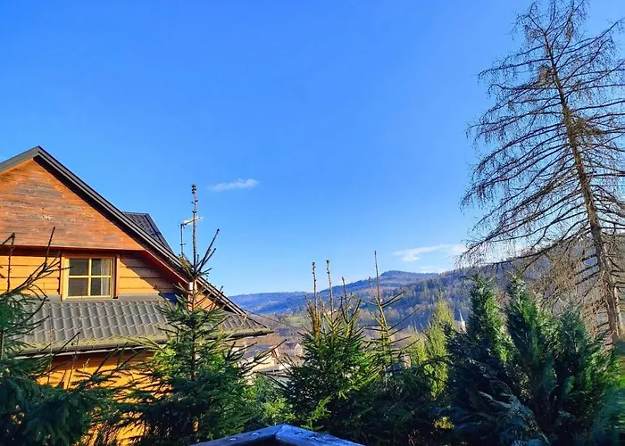 Czarna Owca Guest house